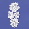 White/Ecru Appliques