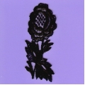 Colored Appliques