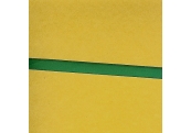 5 Yds 1/4"  Green Poly Ribbon   1732