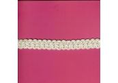 5 Yds   3/4"   White/Blue Braid Trim   2716