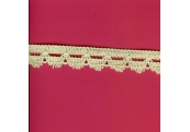 5 Yds  3/4"  Pale Green Crochet Cluny  3076