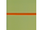 5 Yds  1/4"  Neon Orange Poly Ribbon  1741